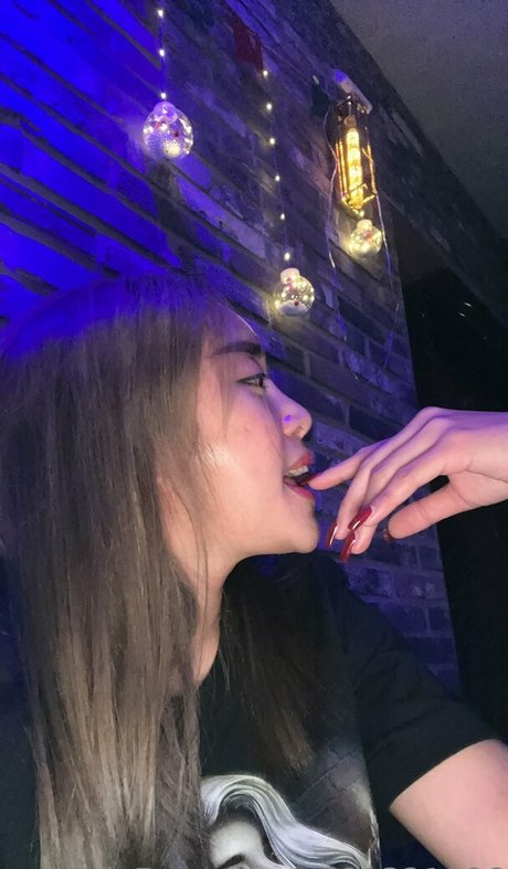 salvaje2022 haut étoile galerie