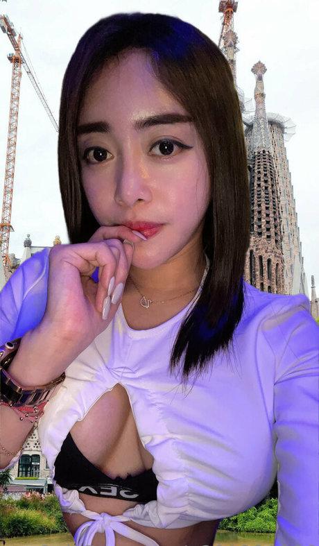 salvaje2022 modèle gratuit galerie