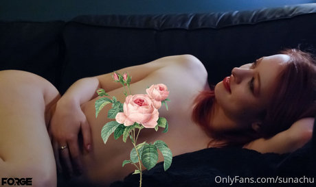 Sunachu modèle de haute qualité galerie