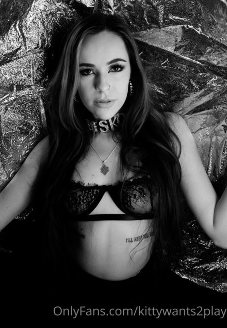 Disko kitty étoile galeries