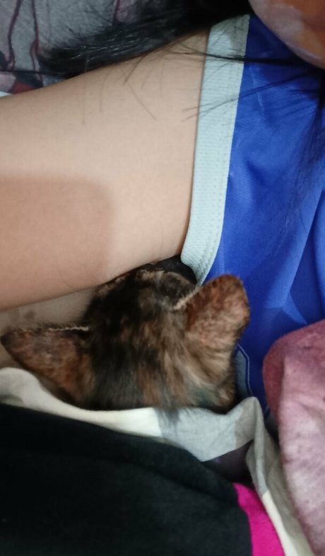 kittylunna modèle meilleur galeries