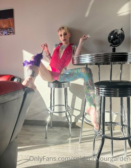 spiderinyourgarden étoile photo