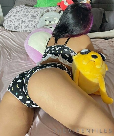 thevixenfiless haut étoile photo