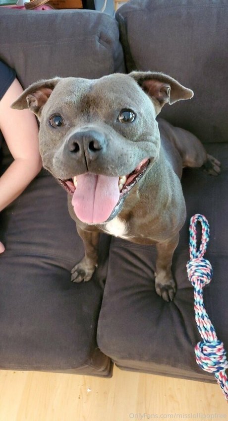 laceyroyce star du porno en haute qualité img