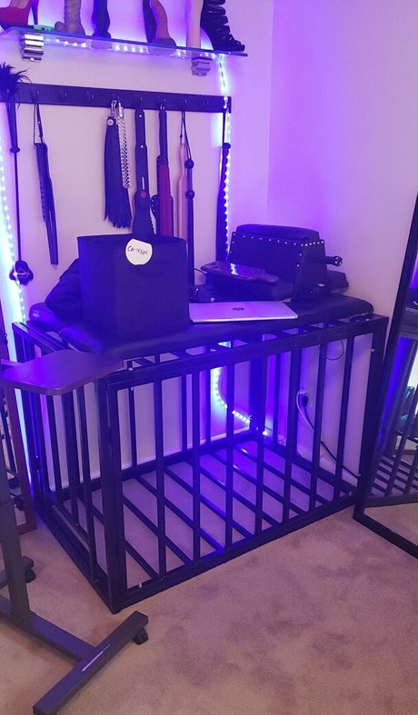 laceyroyce actrice adulte archive