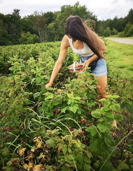 Vanessa Berge nus de stars du porno archive