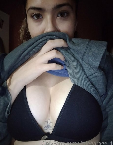 littlegarage 1 art star du porno photos