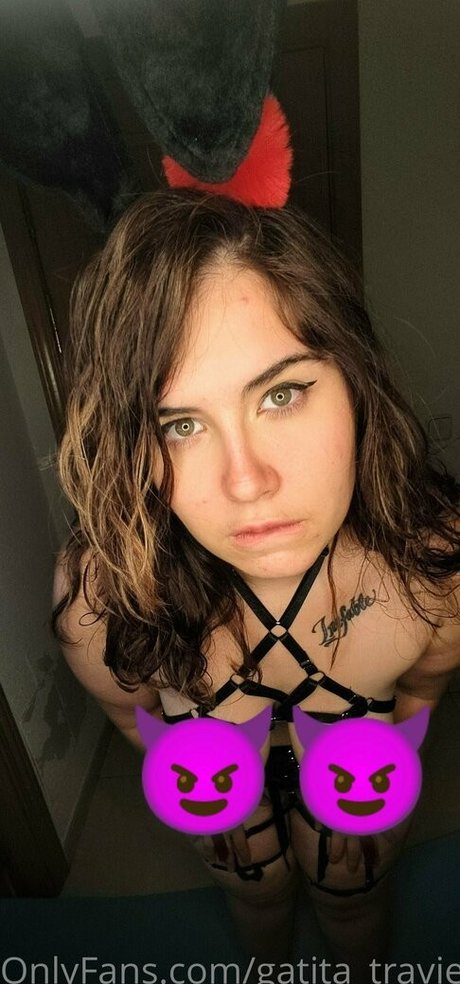 gatita traviesa étoile adulte collection