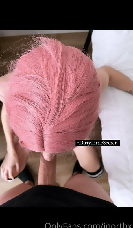 jnorthx modèle de haute qualité galerie