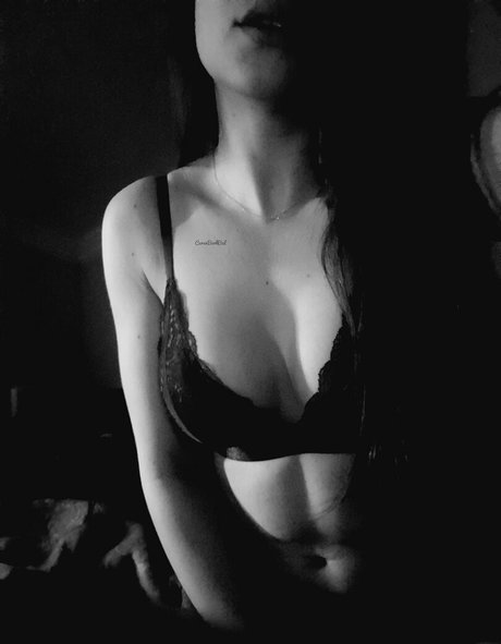 cerenbal free belle actrice image