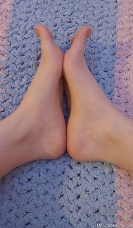 lily s sexe de star du porno collection