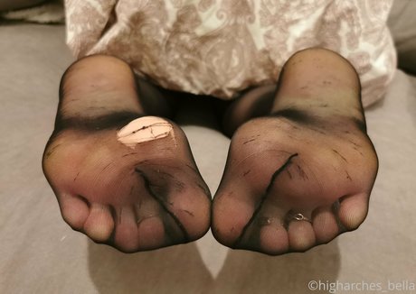 higharches bella top star photo