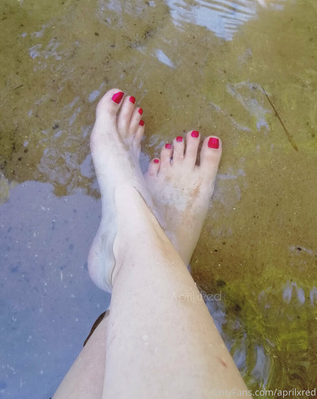 aprilxredfree xxx étoile collection