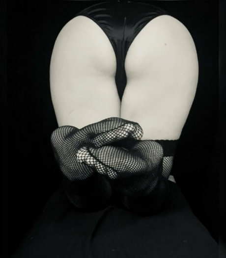 fifoxx star du porno chaud img