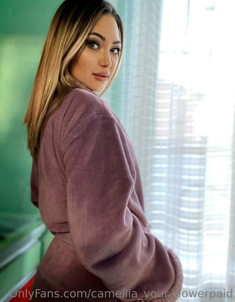 camellia home Fotoaufnahmen