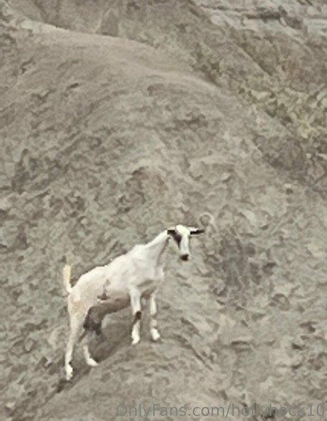 transexuelle post-opératoire onlyfans pornographique photos