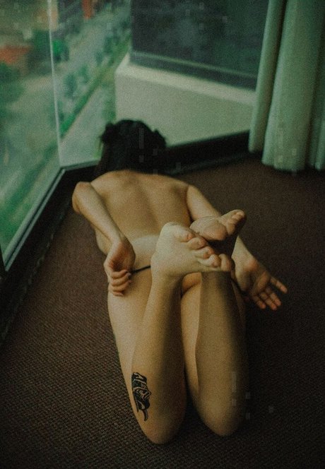 Basoofia étoile hd galerie