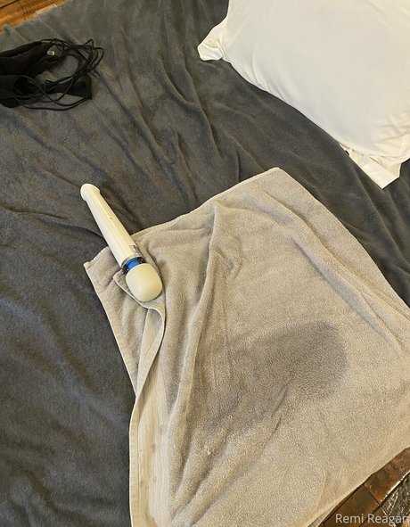 remireagan star du porno galeries