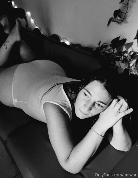 aniwan étoile exclusive galeries