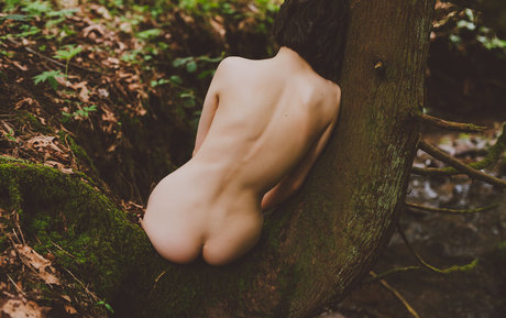 Flora Rodgers meilleure star du porno collection