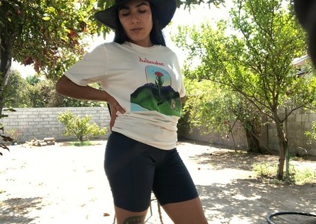 cybcin art modèle collection