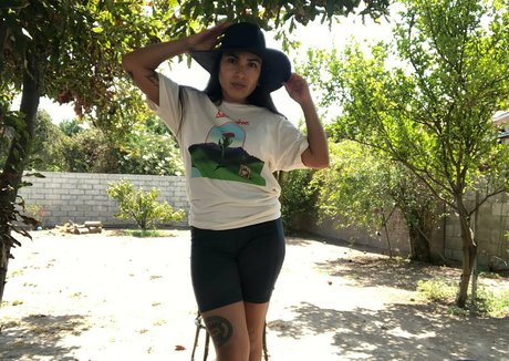 cybcin art étoile collection