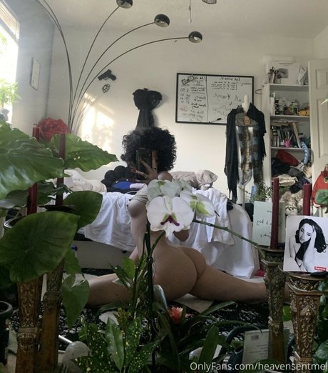 Heavensentmel étoile xxx collection