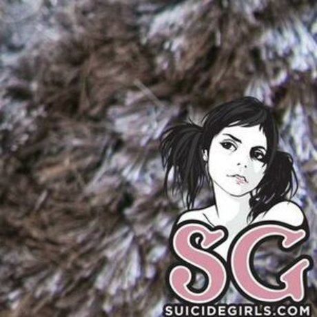 Mynxx star du porno gratuite collection