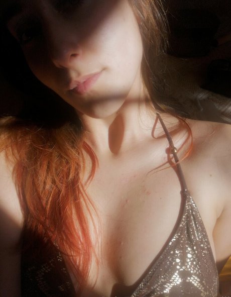 camomilleee étoile parfaite archive