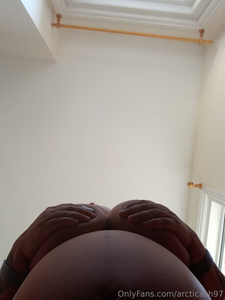 arcticash97 art de star du porno archive