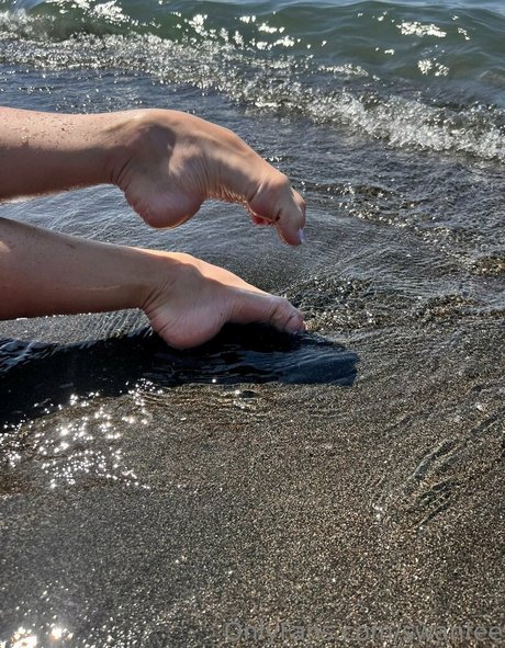 swanfee étoile de l'art photos