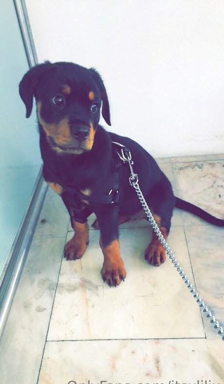 itsxlilix actrice pornographique galerie