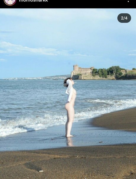 Momosharkk étoile nue images