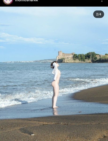 Momosharkk actrice pornographique archive