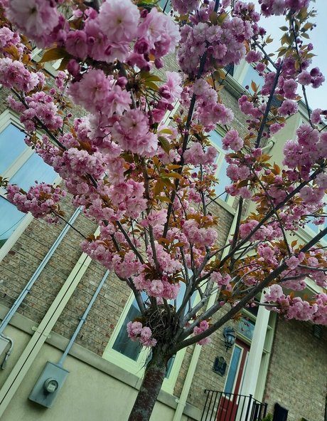 fans asiatiques poilus uniquement gratuit exclusif photo