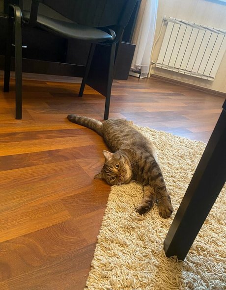 Elis222 modèle meilleur galeries