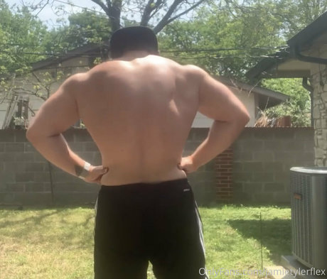 jamietylerflex star du porno parfaite archive