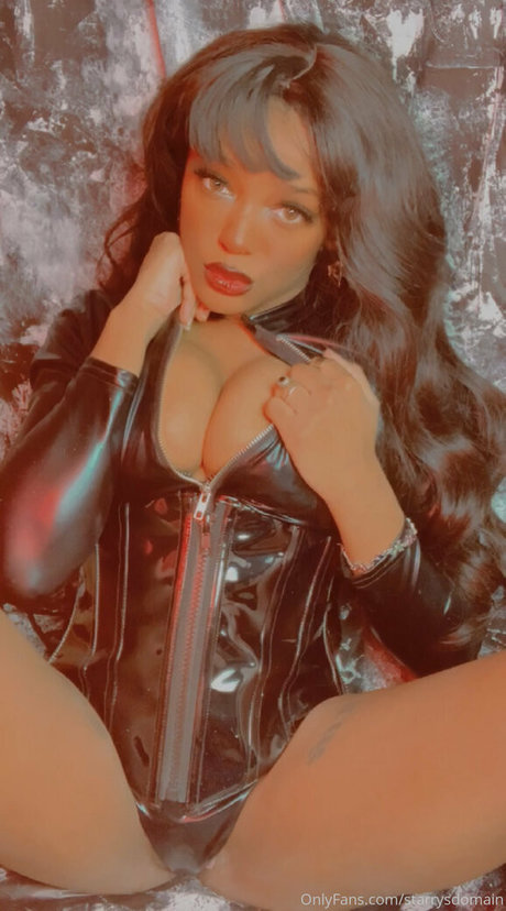 starrysdomain modèle gratuit img