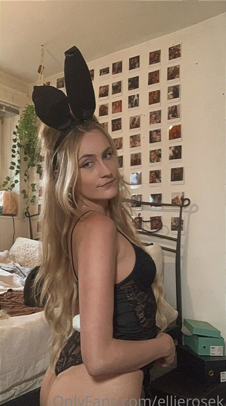 Ellierosek modèle galerie