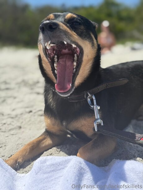 lackofskillets actrice pornographique galerie