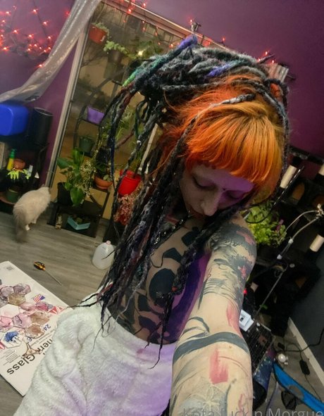 kota morgue étoile nue images