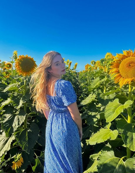 blissfulwhisperasmr art étoile collection