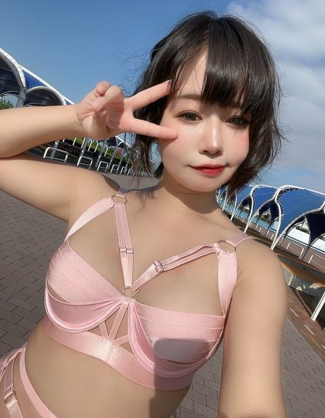 Ruis Tsuji étoile sympa galeries