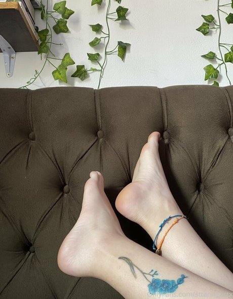 sttaringartx modèle img