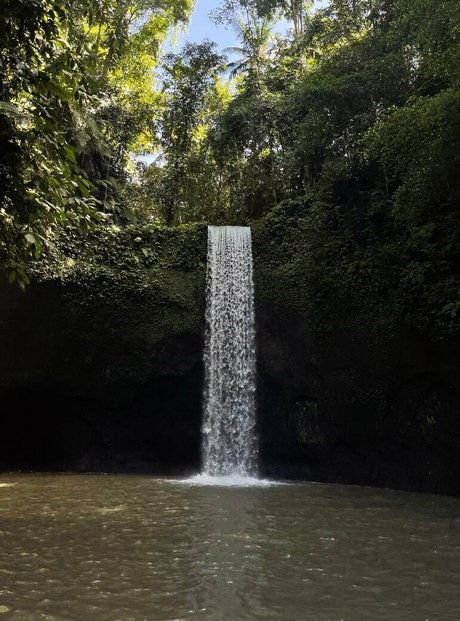 pppoisonnn ivy art modèle photos