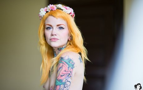 Faun haut étoile image