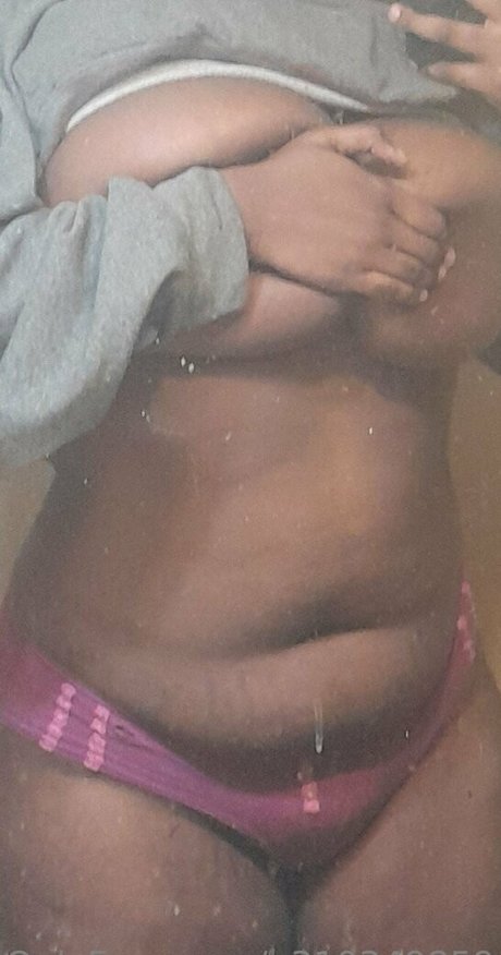 cooch goose premium modèle meilleur image