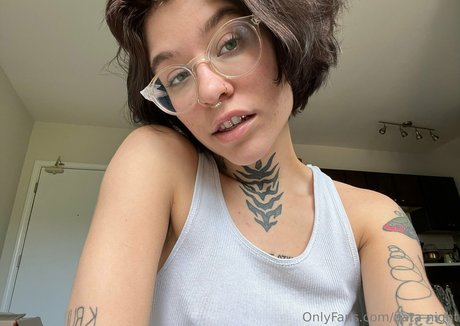 data night star du sexe archive