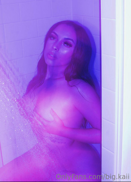 big kaii haut de star du porno collection