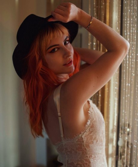 meishamock étoile de l'art collection